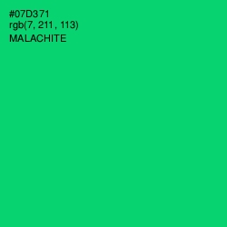 #07D371 - Malachite Color Image