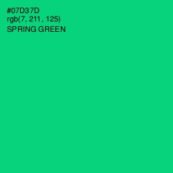 #07D37D - Spring Green Color Image