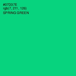 #07D37E - Spring Green Color Image