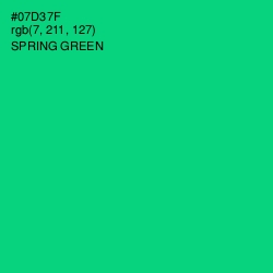 #07D37F - Spring Green Color Image