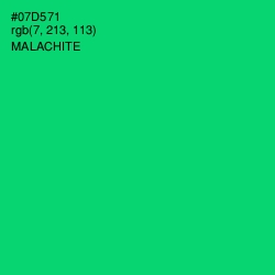 #07D571 - Malachite Color Image