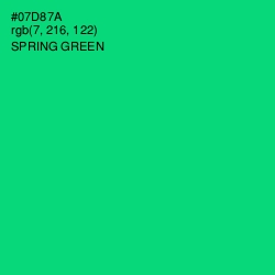 #07D87A - Spring Green Color Image