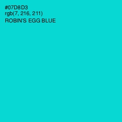 #07D8D3 - Robin's Egg Blue Color Image