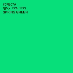 #07E07A - Spring Green Color Image
