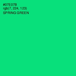 #07E07B - Spring Green Color Image