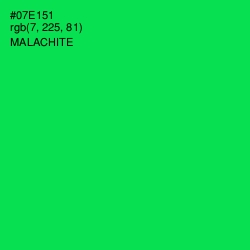 #07E151 - Malachite Color Image