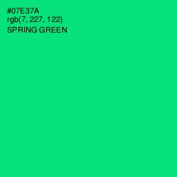 #07E37A - Spring Green Color Image