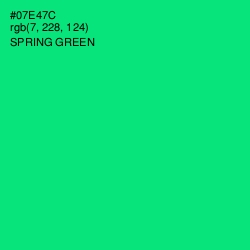 #07E47C - Spring Green Color Image