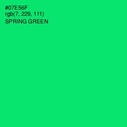 #07E56F - Spring Green Color Image