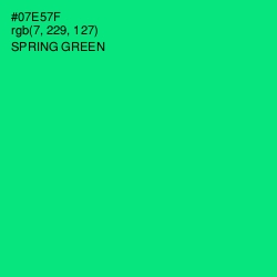 #07E57F - Spring Green Color Image