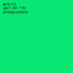 #07E773 - Spring Green Color Image