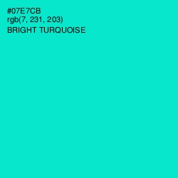 #07E7CB - Bright Turquoise Color Image