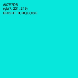 #07E7DB - Bright Turquoise Color Image