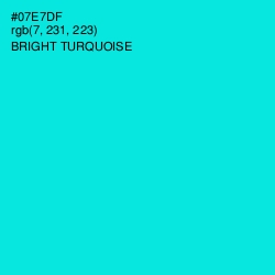 #07E7DF - Bright Turquoise Color Image