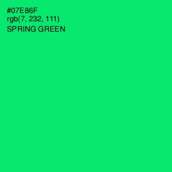 #07E86F - Spring Green Color Image