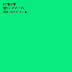 #07EB7F - Spring Green Color Image