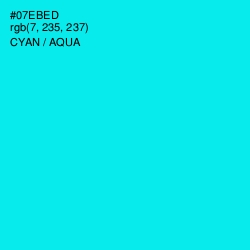 #07EBED - Cyan / Aqua Color Image