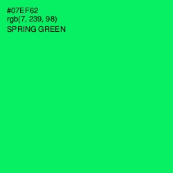 #07EF62 - Spring Green Color Image