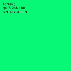 #07F876 - Spring Green Color Image