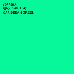 #07F89A - Caribbean Green Color Image