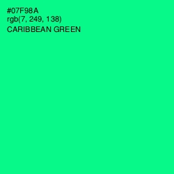 #07F98A - Caribbean Green Color Image