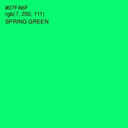#07FA6F - Spring Green Color Image