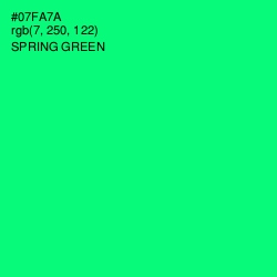 #07FA7A - Spring Green Color Image
