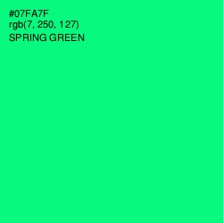 #07FA7F - Spring Green Color Image