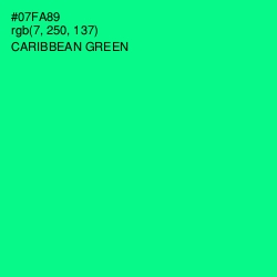 #07FA89 - Caribbean Green Color Image