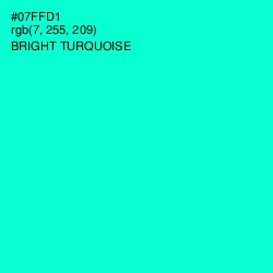 #07FFD1 - Bright Turquoise Color Image