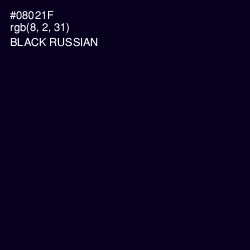 #08021F - Black Russian Color Image