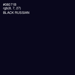 #08071B - Black Russian Color Image