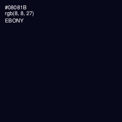 #08081B - Ebony Color Image