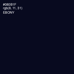 #080B1F - Ebony Color Image