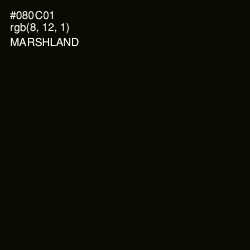 #080C01 - Marshland Color Image