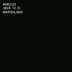 #080C03 - Marshland Color Image