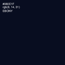#080E1F - Ebony Color Image
