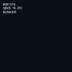 #081019 - Bunker Color Image