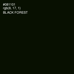 #081101 - Black Forest Color Image