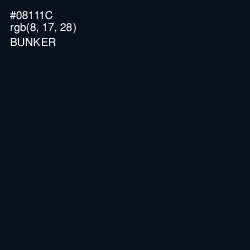 #08111C - Bunker Color Image