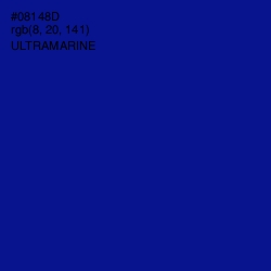 #08148D - Ultramarine Color Image