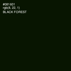 #081601 - Black Forest Color Image