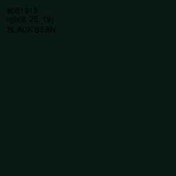 #081913 - Black Bean Color Image