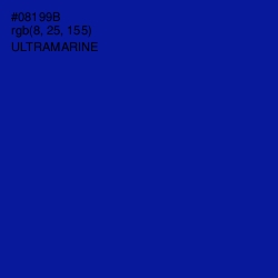 #08199B - Ultramarine Color Image
