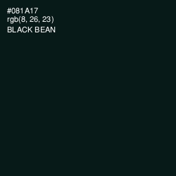 #081A17 - Black Bean Color Image