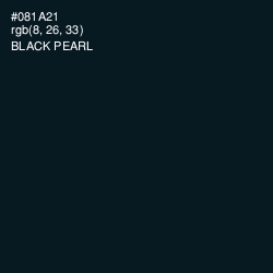 #081A21 - Black Pearl Color Image