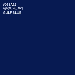 #081A52 - Gulf Blue Color Image