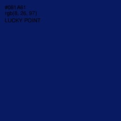 #081A61 - Lucky Point Color Image