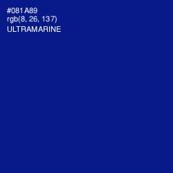 #081A89 - Ultramarine Color Image