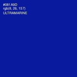 #081A9D - Ultramarine Color Image